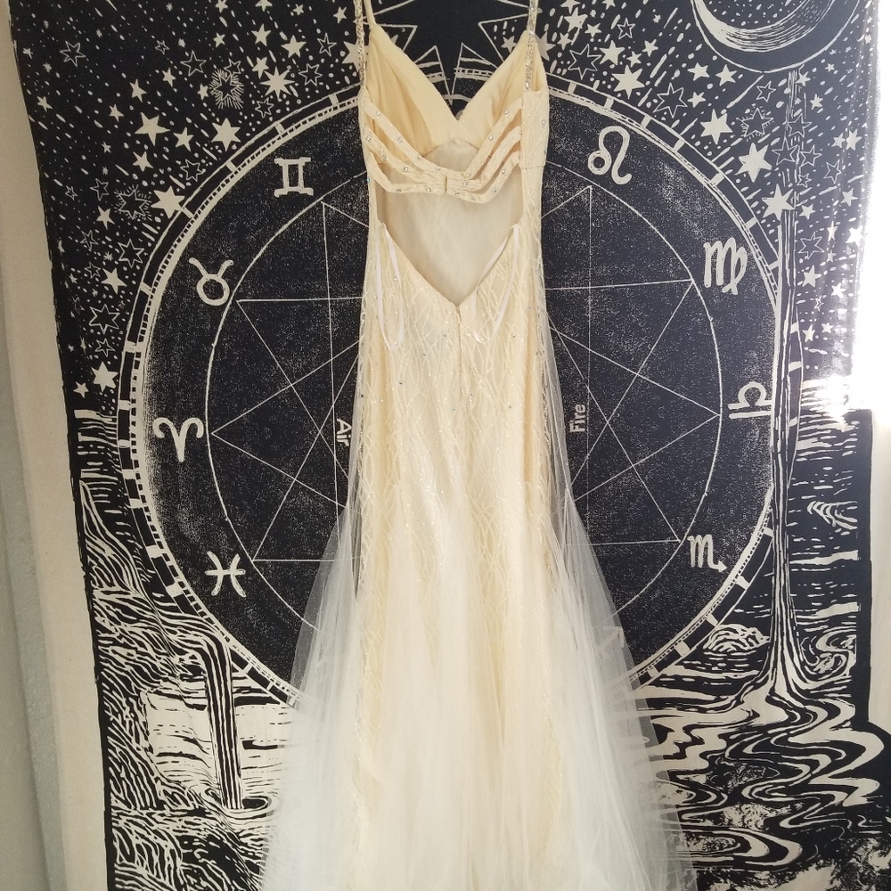 Prom dress! - Picture 5 of 6